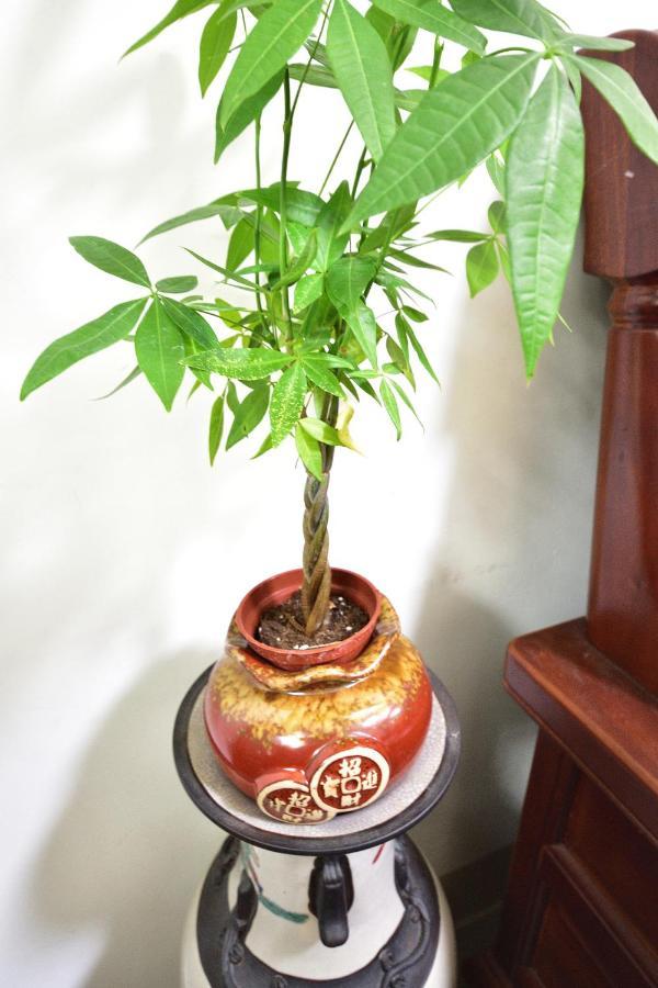 Fengru B&B Taitung Ngoại thất bức ảnh